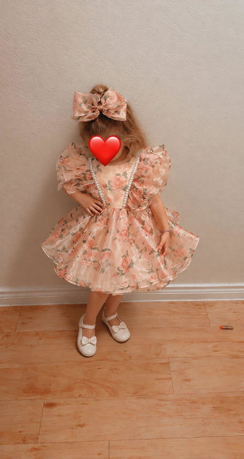 Puffy Sleeve Champagne Baby Knee Length Girl Dress J225