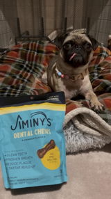 Lifewithchippie review photo