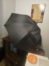 Juana Garibay review photo