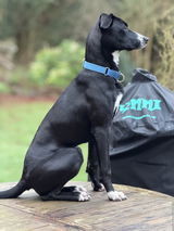 Gillie M. review photo
