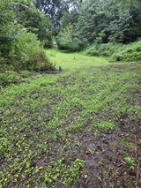 Mark Klemp review photo