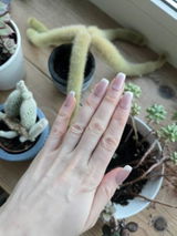 Moniek review photo