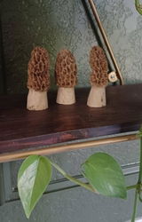 Etsy customer review photo