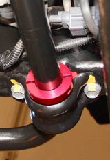 G Schwartz review photo