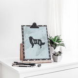 '@arty.the.aussie review photo