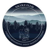 Nicole Ellis review photo