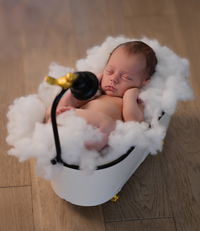 1 Hour Lifestyle Photography Session (Maternity, Family, Engagement, Furry Friends)