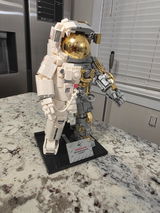 Frankenbrick review photo
