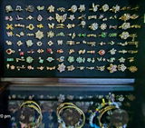 Jennifer Wahlstrom-Lewis review photo