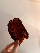 Anto review photo
