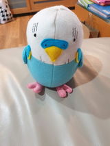 Suzi review photo