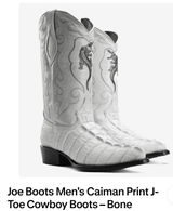 I ordered white boots and received a light blue boot! review photo