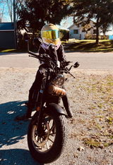 User picture