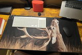 Ethan Willison review photo