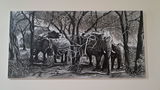 Henriette Pretorius review photo