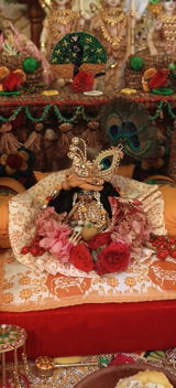 Taruna Yadav review photo