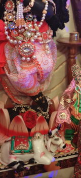 Taruna Yadav review photo