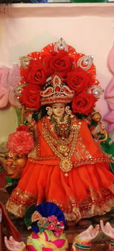 Taruna Yadav review photo