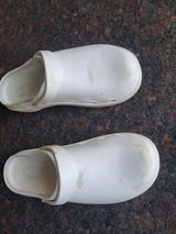 Bijoy Joseph review photo