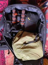 Anthony Marshall review photo