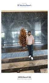 Dinesh Yadav review photo