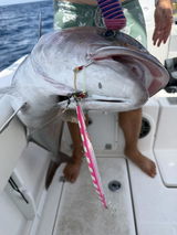 Nanny’s Revenge Fishing Charter review photo