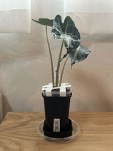 和宏 比留間 review photo