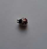 Adrien review photo