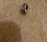Alexander review photo