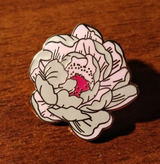 Nestor review photo