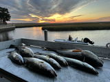 Greig McCully. Lost Pond FIshing review photo