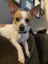 Etsy customer review photo