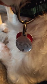 Kreg Weight review photo