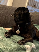 Etsy customer review photo