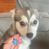 Etsy customer review photo