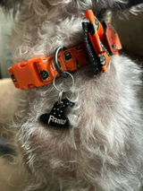 Dana Ebbecke review photo