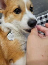 Etsy customer review photo