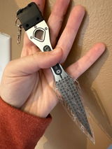Destinee review photo
