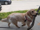 Tami L. review photo