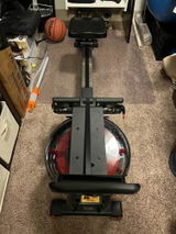 David V review photo