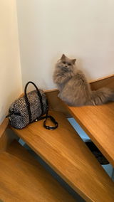 Meriem review photo