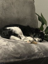 Furniture Village Customer review photo