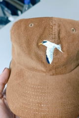 Least Tern / Corduroy hat