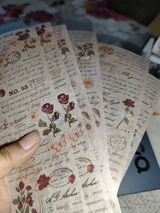 Taiyeba Rajbi review photo
