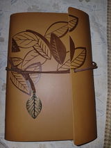 Banideep kaur review photo