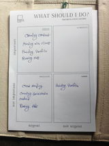 Pallab Mitra review photo