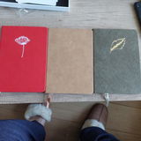 A.P. review photo