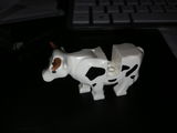 P. review photo