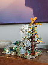 Mark Hoyt review photo
