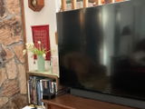 Alan S. Mathias review photo